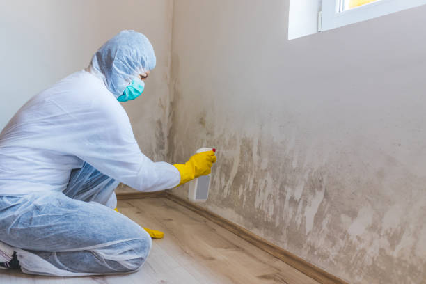 Commercial Mold Remediation assessment for commercial property in Roswell
