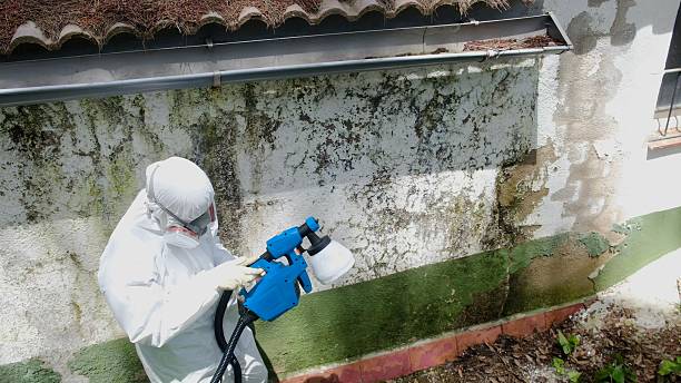 Mold Remediation service in Roswell, Roswell, GA